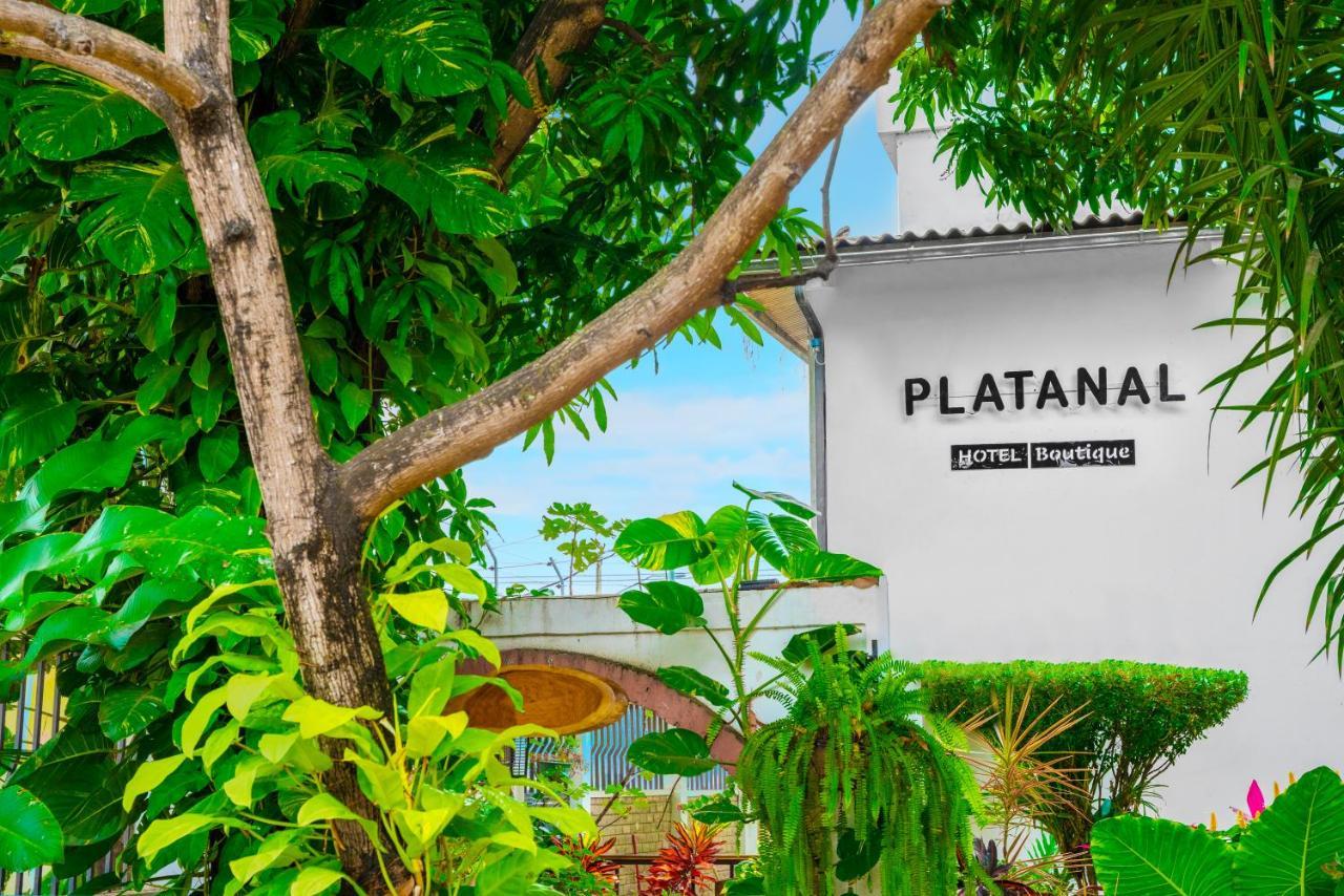 Hotel Boutique Platanal 波托维耶霍 外观 照片