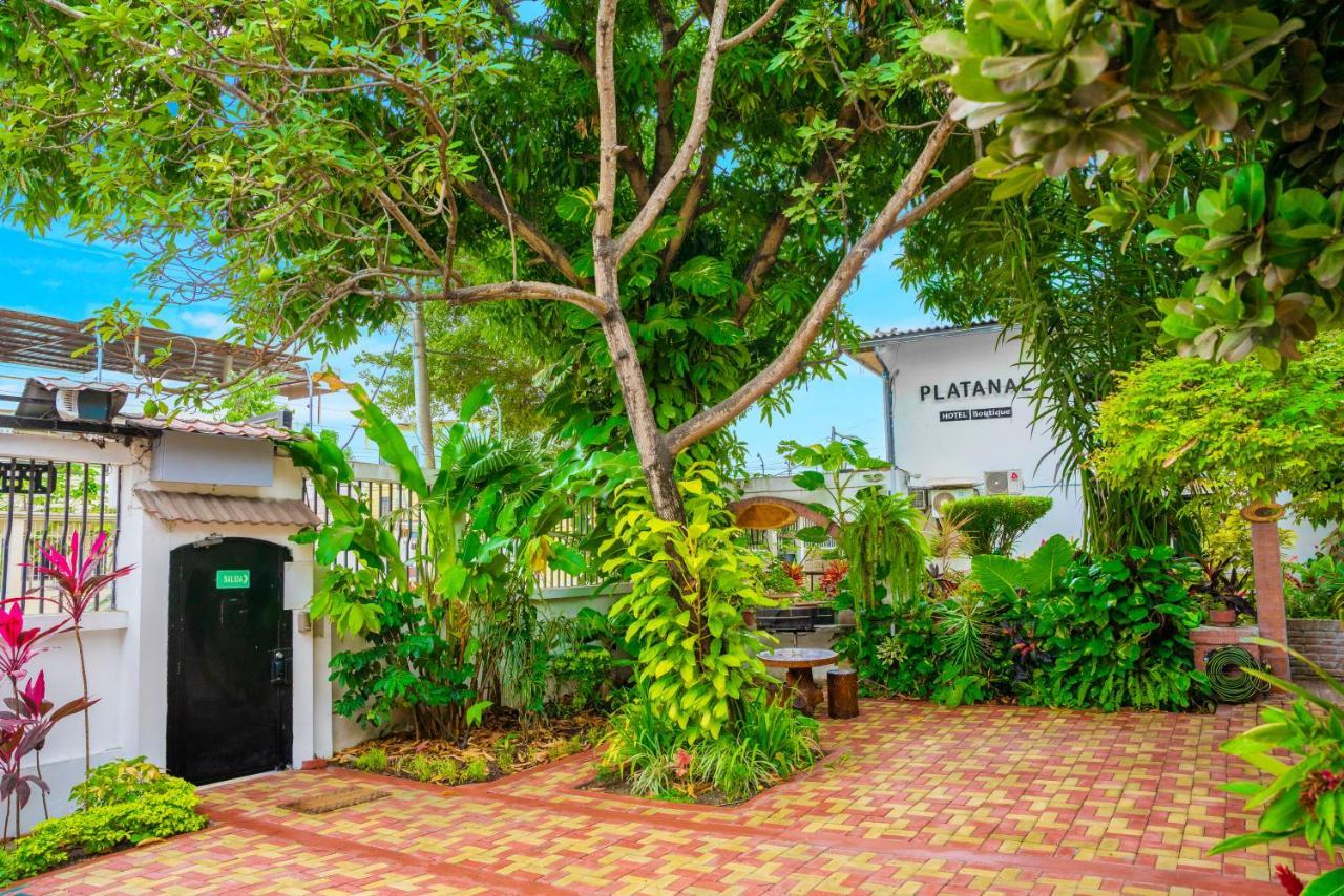 Hotel Boutique Platanal 波托维耶霍 外观 照片