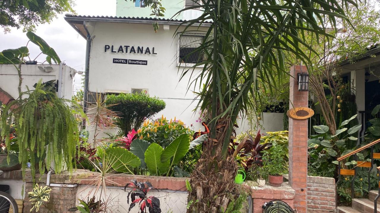 Hotel Boutique Platanal 波托维耶霍 外观 照片